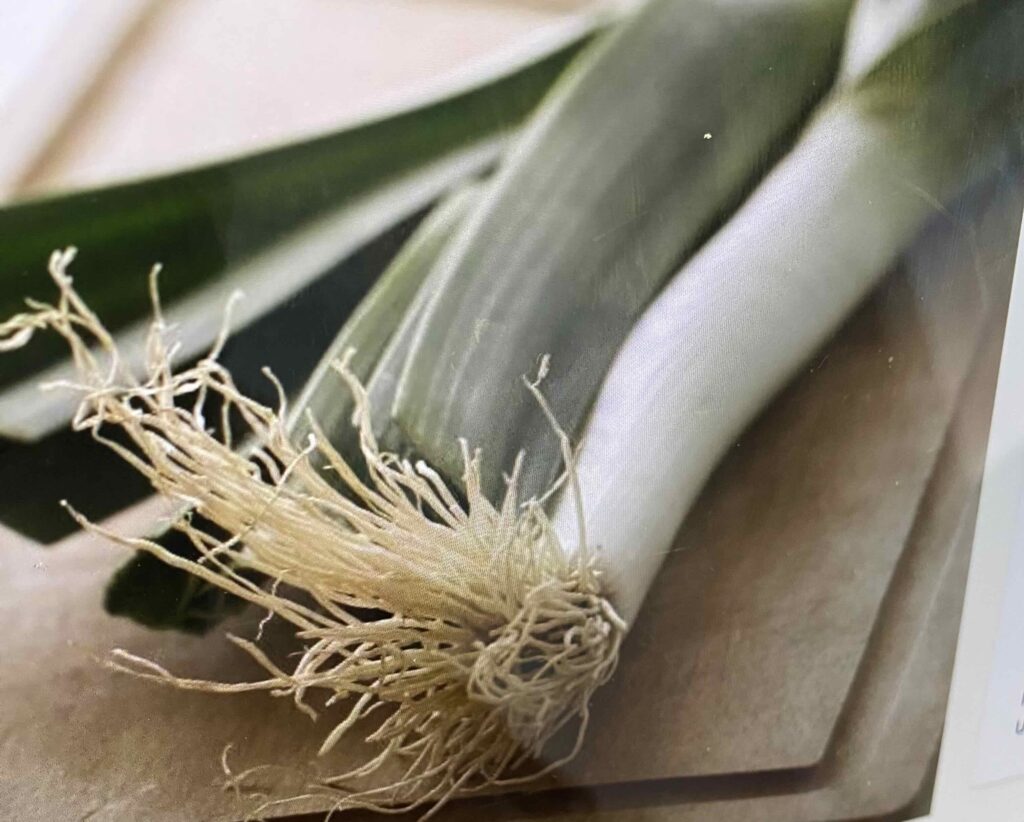 Possibly Thomas Selter's Leek Soup recipe