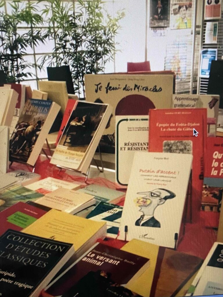 French library maybe in Paris, France