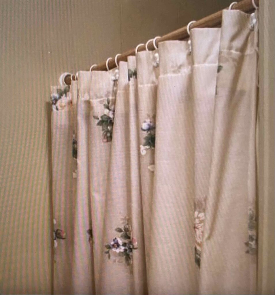 translucent, plastic shower curtain ring