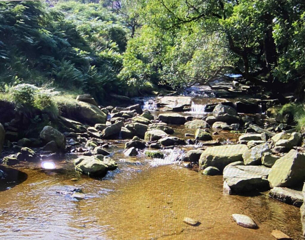 A stream in Yorkshire