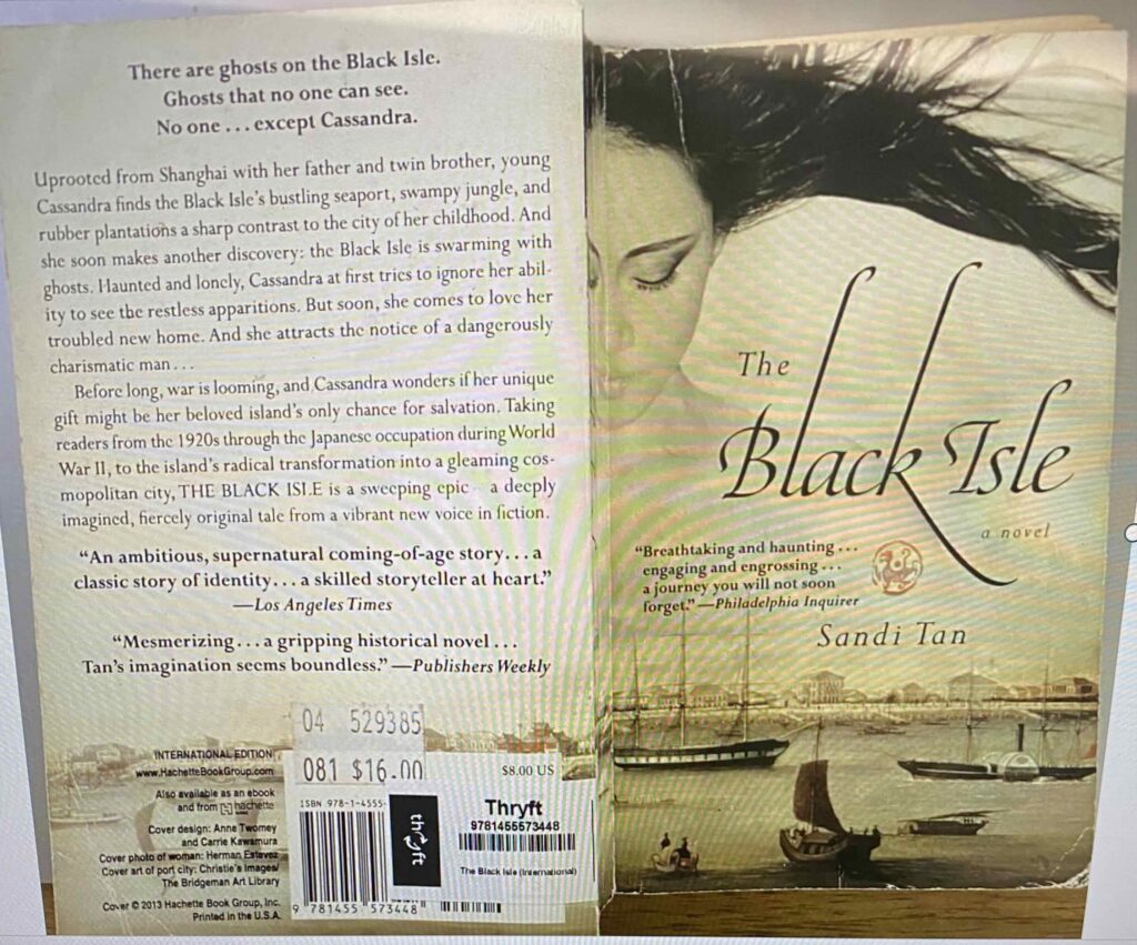 The Black Isle by Sandi Tan