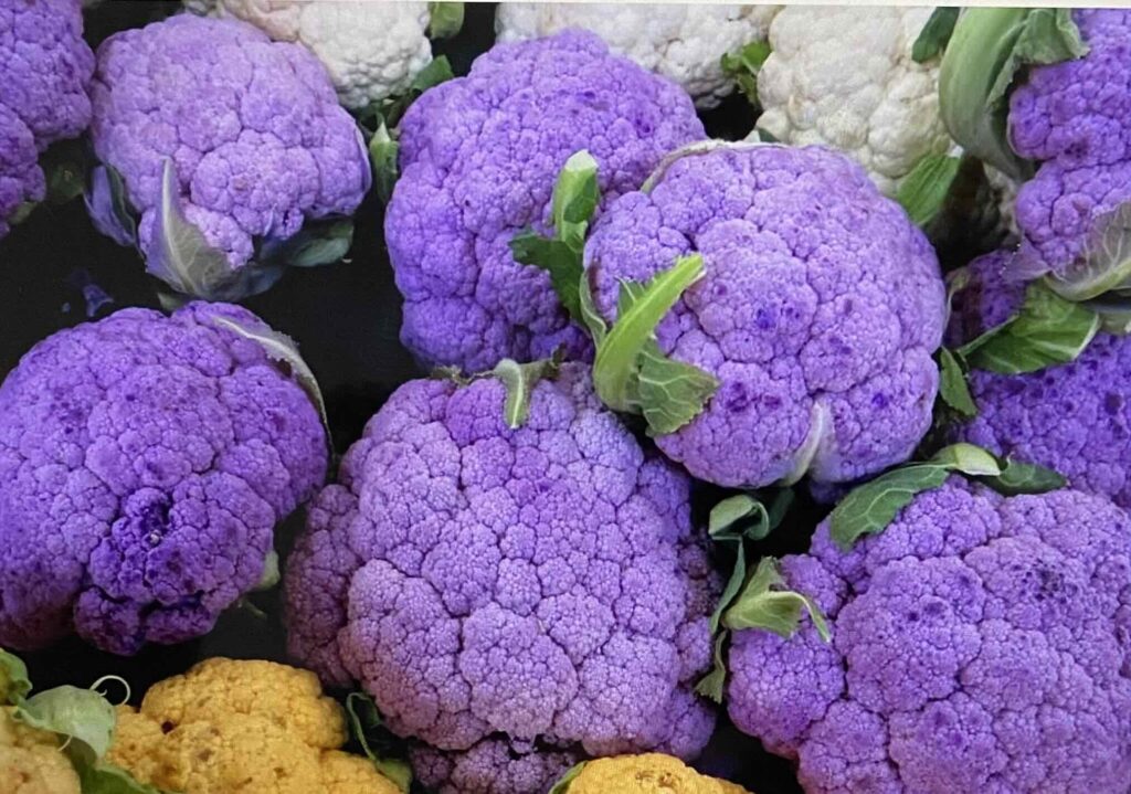 white, purple and yellow-orange colored cauliflowers.