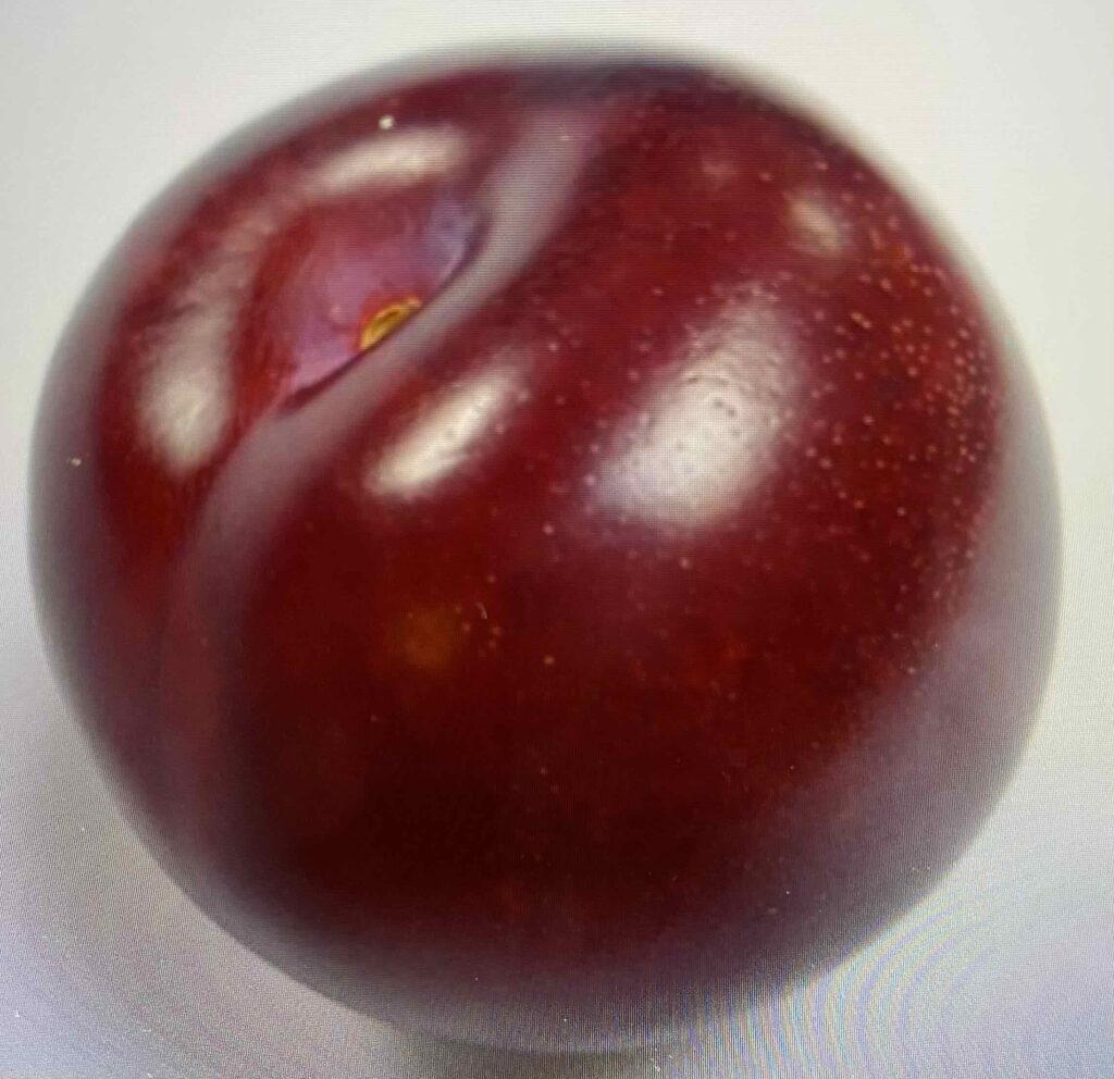 One plum.