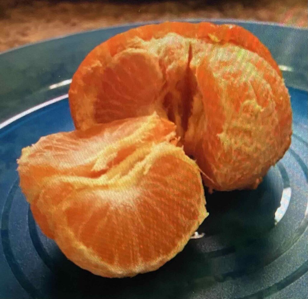 Tangerine split open to show its segments.
